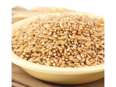Hard White Spring Wheat Berries (Prairie Gold) image 0