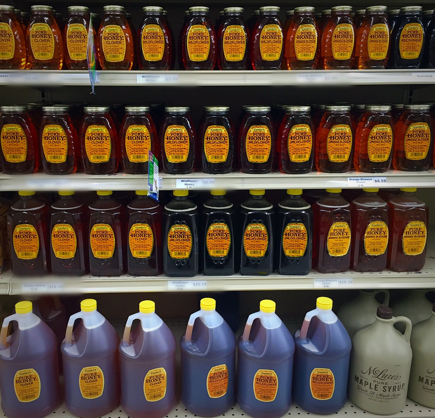 Gunter's Wildflower Honey image 0