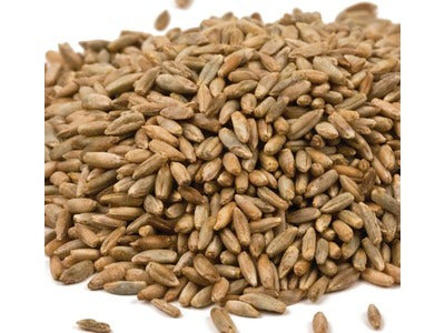 Rye Berries image 0