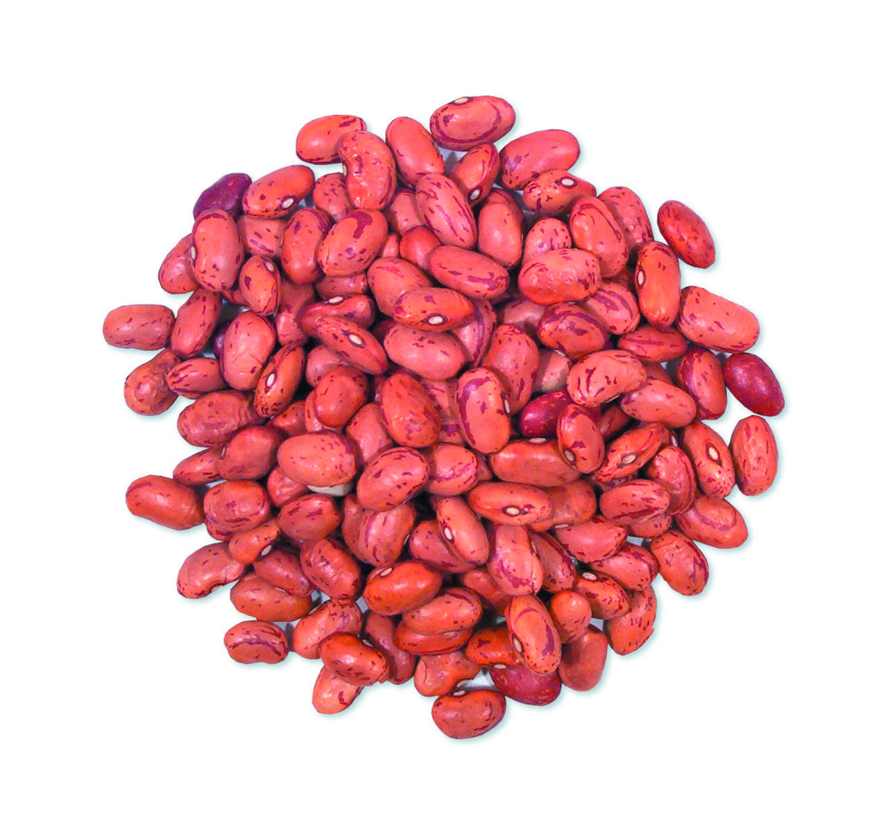 Cranberry Beans image 0