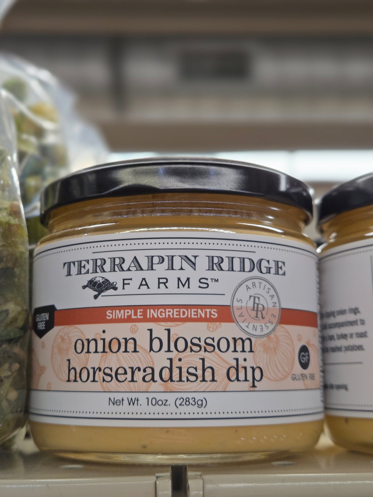 Onion Blossom Horseradish Dip