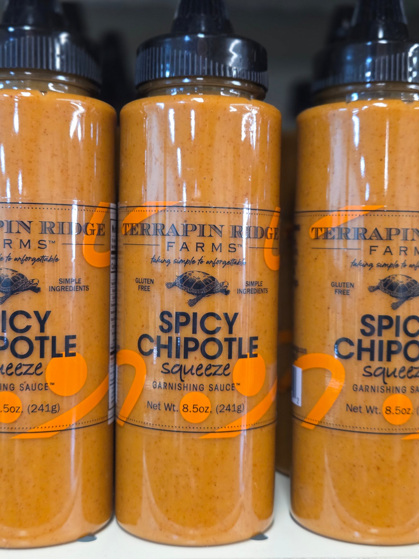 Spicy Chipotle Garnishing Sauce