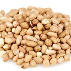 Raw Spanish Peanuts image 0