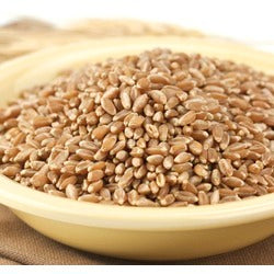 Bronze Chief Wheat Berries image 0