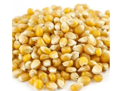 Popcorn Mushroom Caramel Sweet image 0