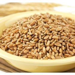 Whole Spelt Berries image 0