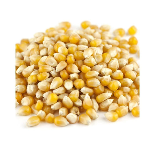 Organic Yellow Popcorn Kernels