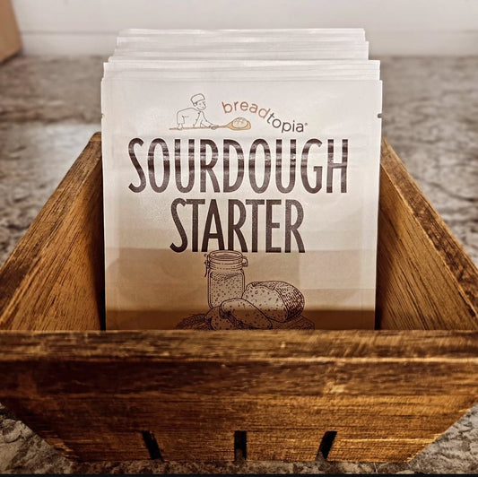 Sourdough Starter image 0