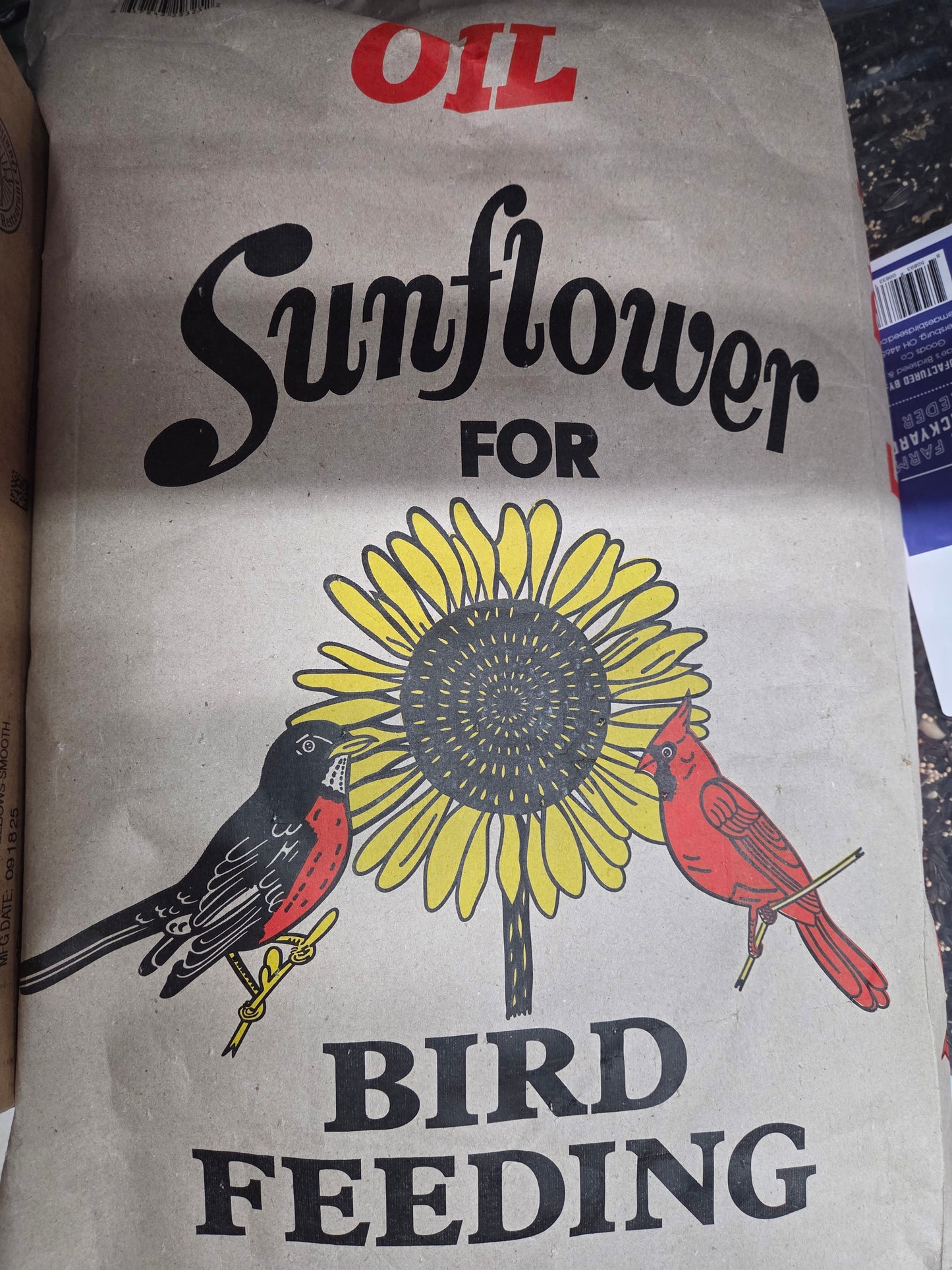 Black Oil Sunflower Bird Seed